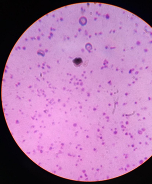 Slider image (4) Revita Lifesciences / HB Specialty Hospital & Research Institute